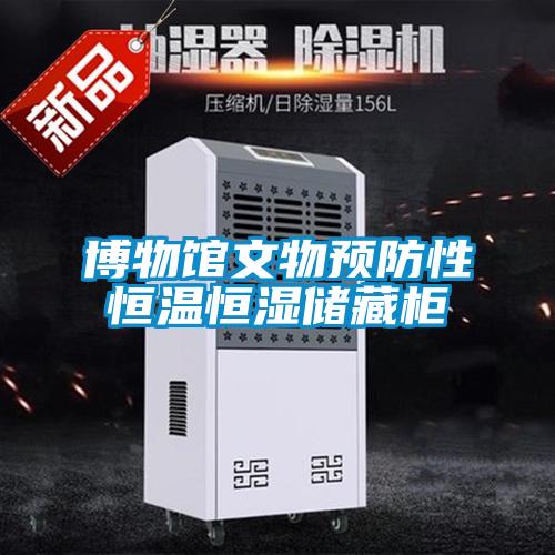 博物館文物預(yù)防性恒溫恒濕儲(chǔ)藏柜