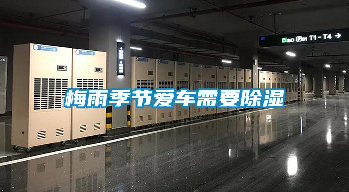 梅雨季節(jié)愛(ài)車需要除濕
