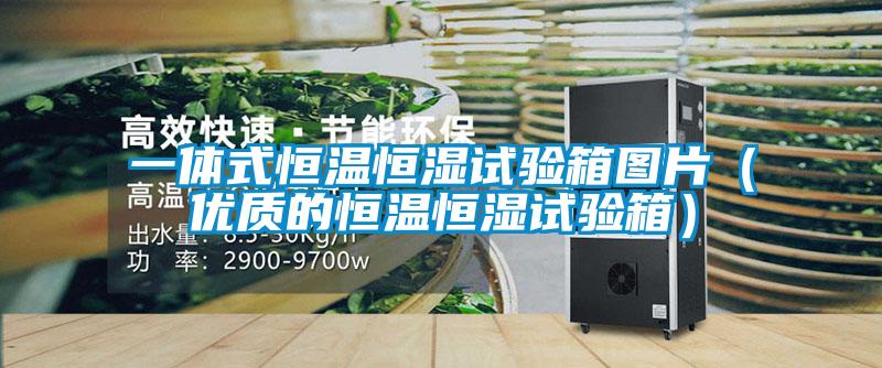 一體式恒溫恒濕試驗(yàn)箱圖片（優(yōu)質(zhì)的恒溫恒濕試驗(yàn)箱）