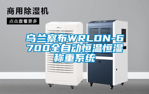 烏蘭察布WRLDN-6700全自動(dòng)恒溫恒濕稱重系統(tǒng)