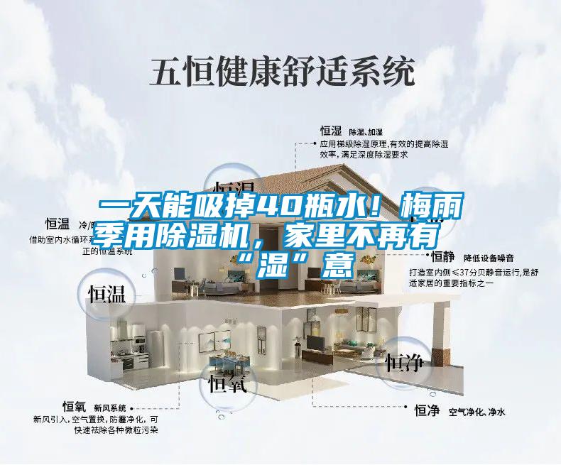 一天能吸掉40瓶水！梅雨季用除濕機(jī)，家里不再有“濕”意