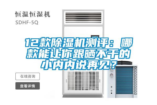 12款除濕機測評：哪款能讓你跟曬不干的小內(nèi)內(nèi)說再見？