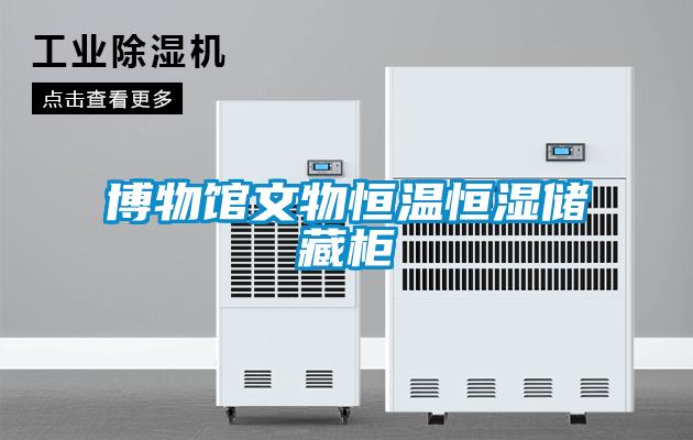 博物館文物恒溫恒濕儲(chǔ)藏柜