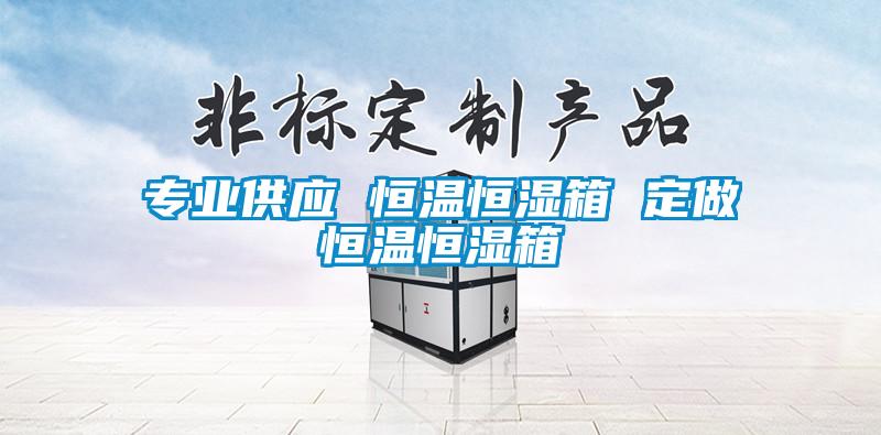 專業(yè)供應(yīng) 恒溫恒濕箱 定做恒溫恒濕箱