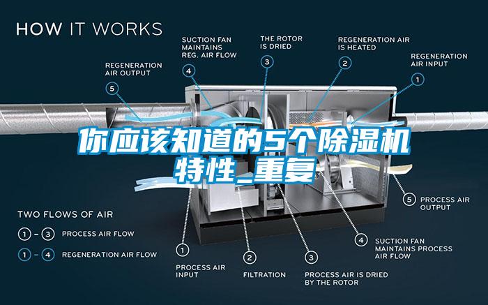 你應該知道的5個除濕機特性_重復
