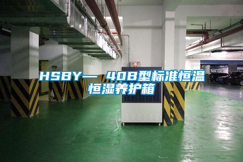 HSBY— 40B型標(biāo)準恒溫恒濕養(yǎng)護箱
