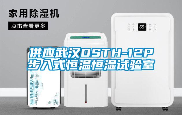 供應(yīng)武漢DSTH-12P步入式恒溫恒濕試驗室
