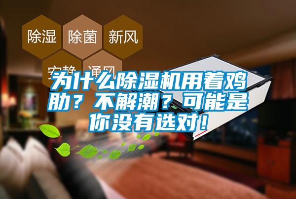 為什么除濕機(jī)用著雞肋？不解潮？可能是你沒有選對(duì)！