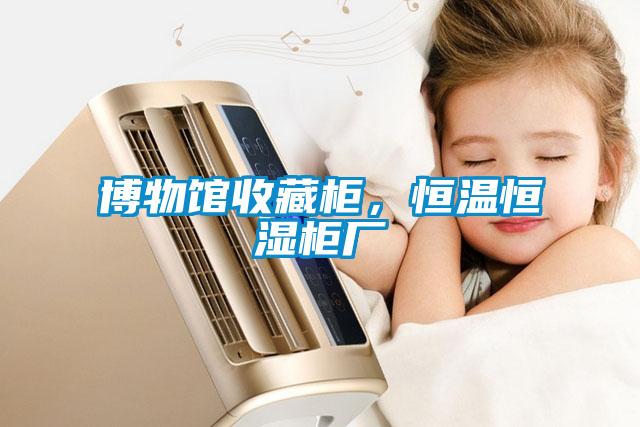 博物館收藏柜，恒溫恒濕柜廠