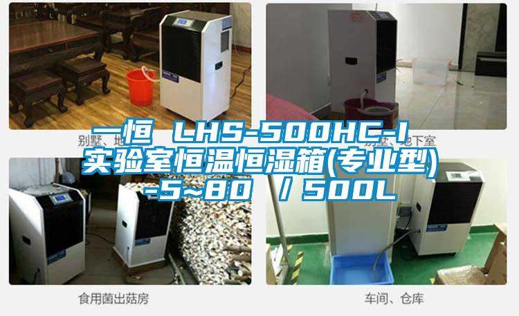 一恒 LHS-500HC-I 實(shí)驗(yàn)室恒溫恒濕箱(專業(yè)型) -5~80℃／500L
