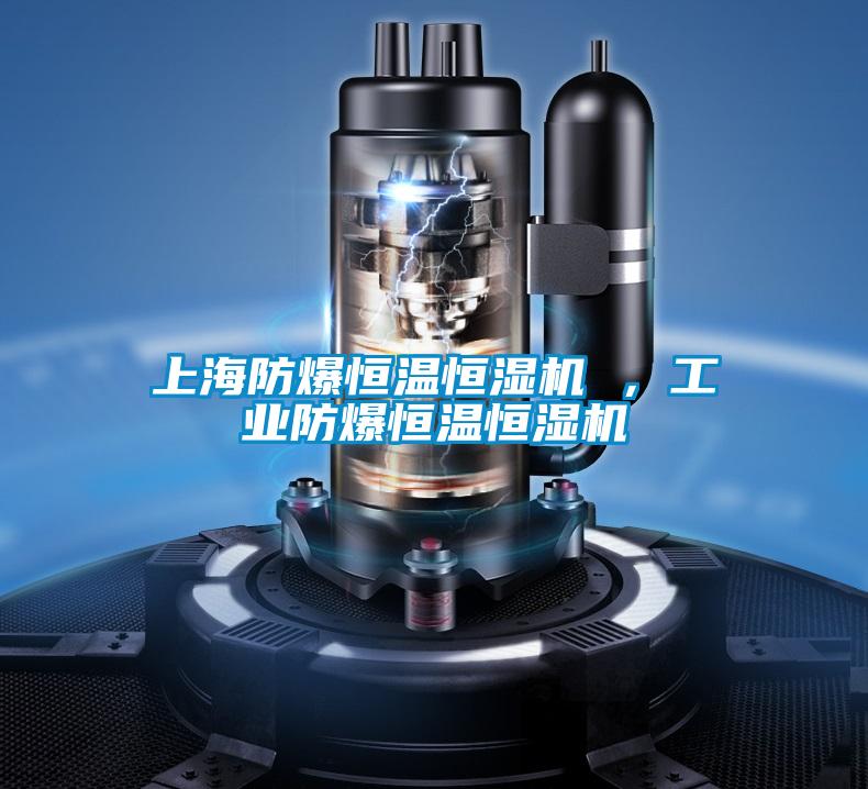 上海防爆恒溫恒濕機(jī) ，工業(yè)防爆恒溫恒濕機(jī)