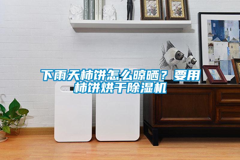下雨天柿餅怎么晾曬？要用柿餅烘干除濕機(jī)