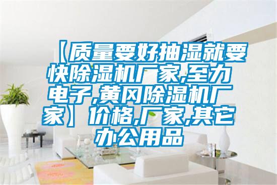 【質(zhì)量要好抽濕就要快除濕機(jī)廠家,至力電子,黃岡除濕機(jī)廠家】價格,廠家,其它辦公用品