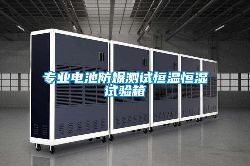 專業(yè)電池防爆測(cè)試恒溫恒濕試驗(yàn)箱