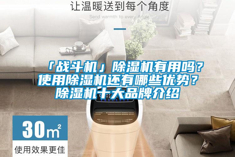 「戰(zhàn)斗機」除濕機有用嗎？使用除濕機還有哪些優(yōu)勢？除濕機十大品牌介紹