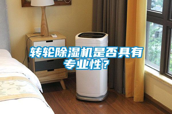 轉(zhuǎn)輪除濕機是否具有專業(yè)性？