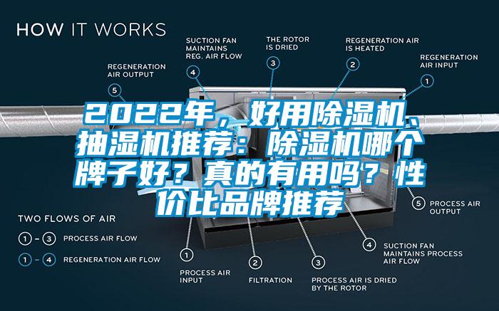 2022年，好用除濕機、抽濕機推薦：除濕機哪個牌子好？真的有用嗎？性價比品牌推薦