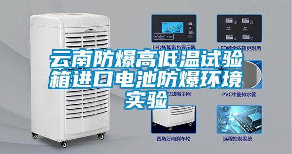 云南防爆高低溫試驗箱進口電池防爆環(huán)境實驗