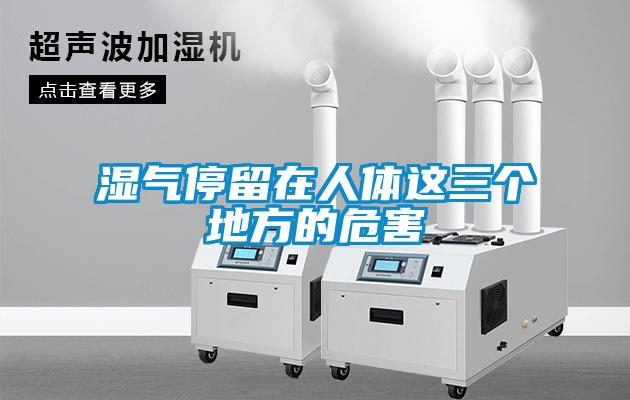 濕氣停留在人體這三個(gè)地方的危害