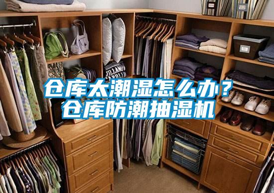倉庫太潮濕怎么辦？倉庫防潮抽濕機(jī)