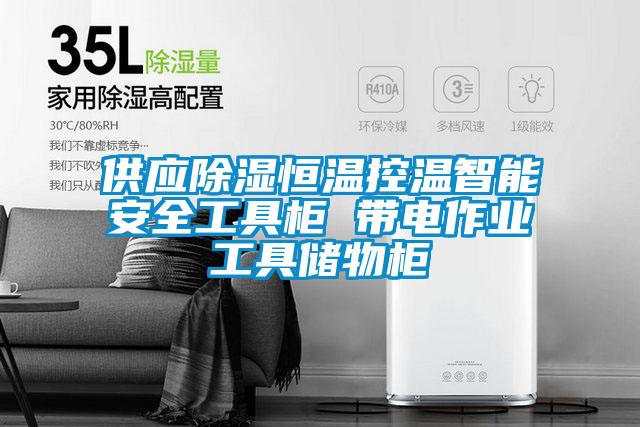 供應(yīng)除濕恒溫控溫智能安全工具柜 帶電作業(yè)工具儲物柜