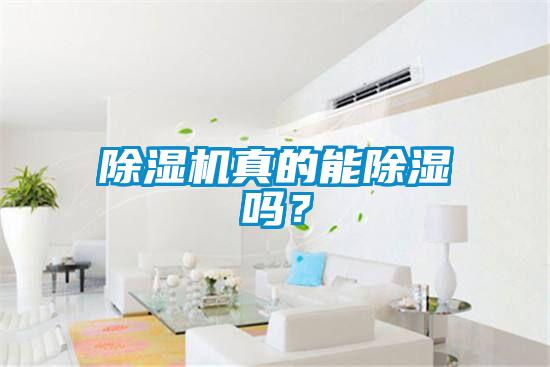 除濕機真的能除濕嗎？