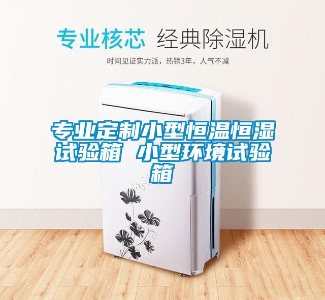 專業(yè)定制小型恒溫恒濕試驗(yàn)箱 小型環(huán)境試驗(yàn)箱