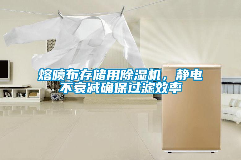 熔噴布存儲(chǔ)用除濕機(jī)，靜電不衰減確保過濾效率