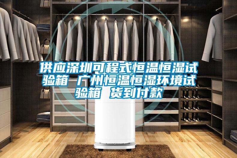 供應(yīng)深圳可程式恒溫恒濕試驗箱 廣州恒溫恒濕環(huán)境試驗箱 貨到付款