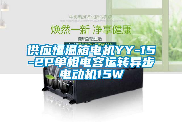 供應(yīng)恒溫箱電機YY-15-2P單相電容運轉(zhuǎn)異步電動機15W