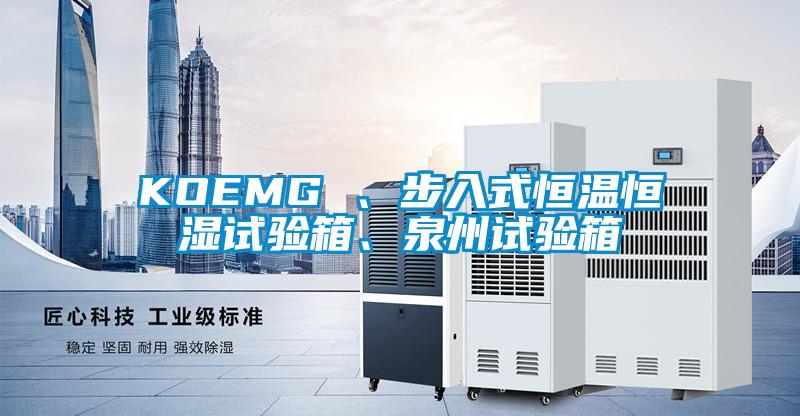 KOEMG 、步入式恒溫恒濕試驗箱、泉州試驗箱