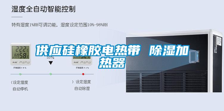 供應(yīng)硅橡膠電熱帶 除濕加熱器