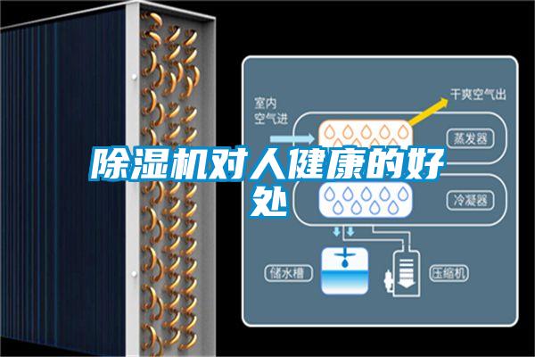 除濕機(jī)對人健康的好處