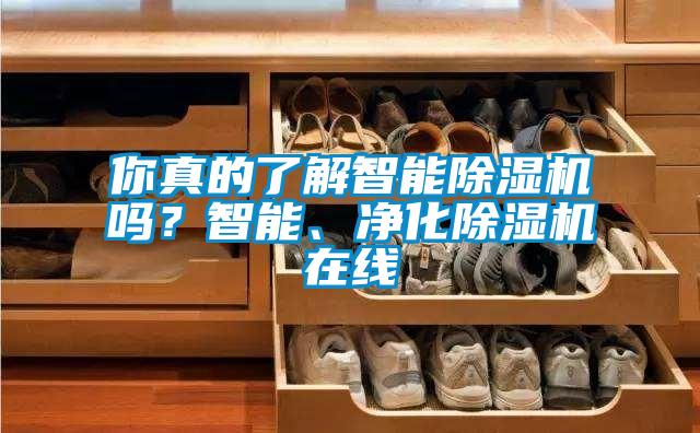 你真的了解智能除濕機嗎？智能、凈化除濕機在線