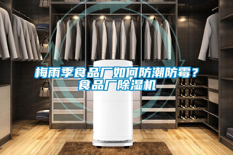 梅雨季食品廠如何防潮防霉？食品廠除濕機