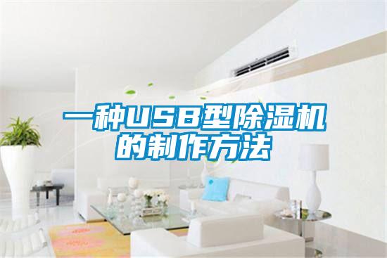 一種USB型除濕機(jī)的制作方法