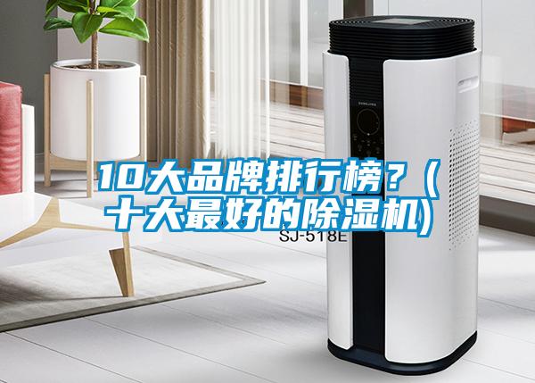 10大品牌排行榜？(十大最好的除濕機)