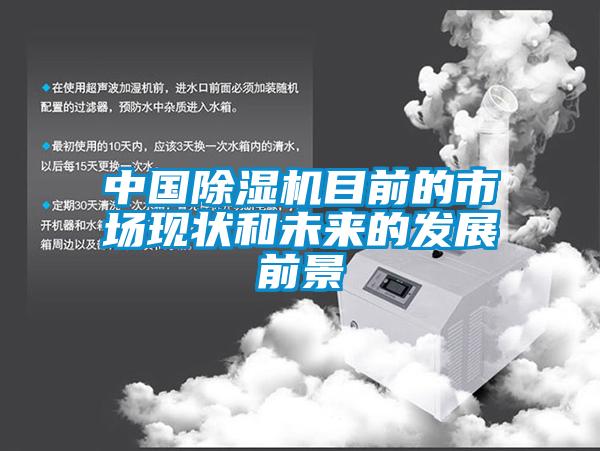 中國(guó)除濕機(jī)目前的市場(chǎng)現(xiàn)狀和未來(lái)的發(fā)展前景