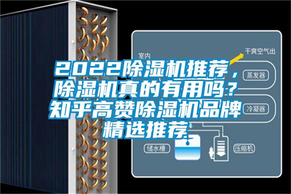2022除濕機推薦，除濕機真的有用嗎？知乎高贊除濕機品牌精選推薦