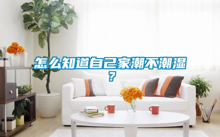 怎么知道自己家潮不潮濕？