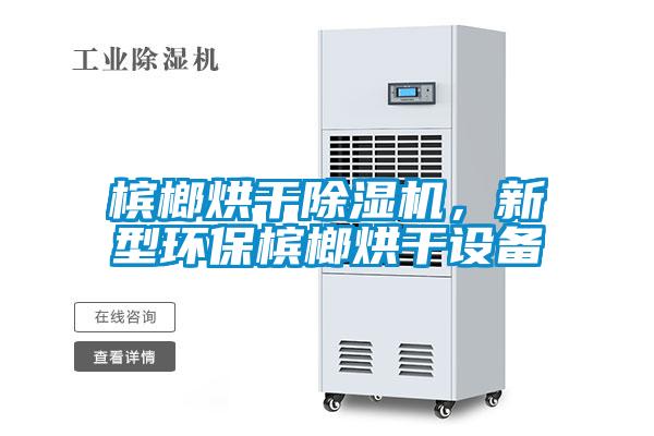 檳榔烘干除濕機(jī)，新型環(huán)保檳榔烘干設(shè)備