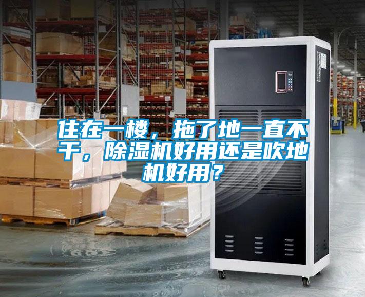住在一樓，拖了地一直不干，除濕機(jī)好用還是吹地機(jī)好用？