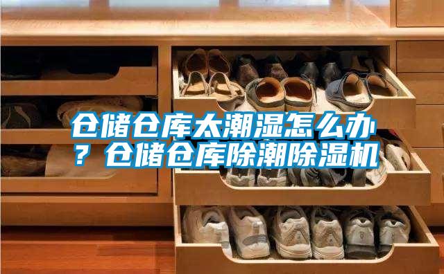 倉儲倉庫太潮濕怎么辦？倉儲倉庫除潮除濕機