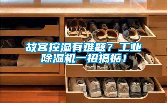 故宮控濕有難題？工業(yè)除濕機(jī)一招搞掂！