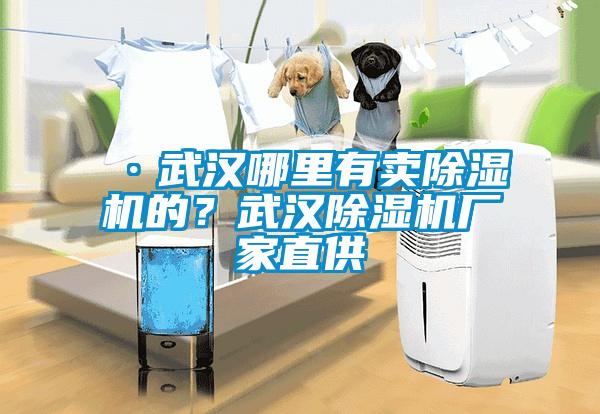 ·武漢哪里有賣除濕機的？武漢除濕機廠家直供