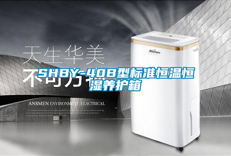 SHBY-40B型標(biāo)準(zhǔn)恒溫恒濕養(yǎng)護(hù)箱