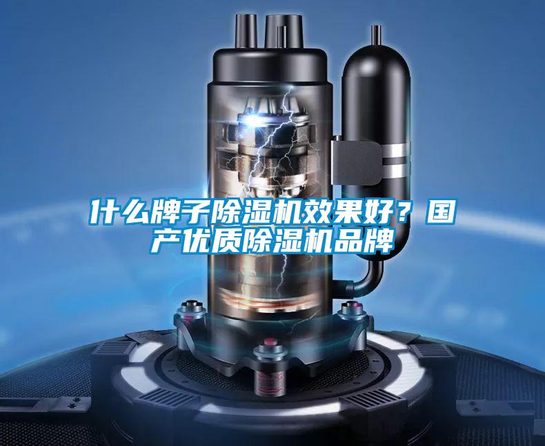 什么牌子除濕機效果好？國產(chǎn)優(yōu)質(zhì)除濕機品牌