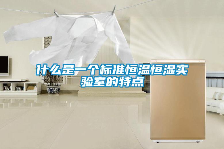 什么是一個(gè)標(biāo)準(zhǔn)恒溫恒濕實(shí)驗(yàn)室的特點(diǎn)