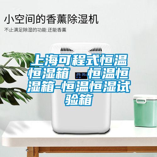 上?？沙淌胶銣睾銤裣? 恒溫恒濕箱-恒溫恒濕試驗(yàn)箱
