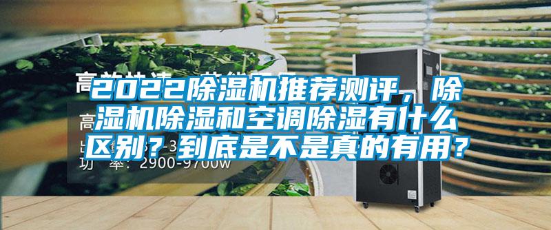 2022除濕機推薦測評，除濕機除濕和空調(diào)除濕有什么區(qū)別？到底是不是真的有用？